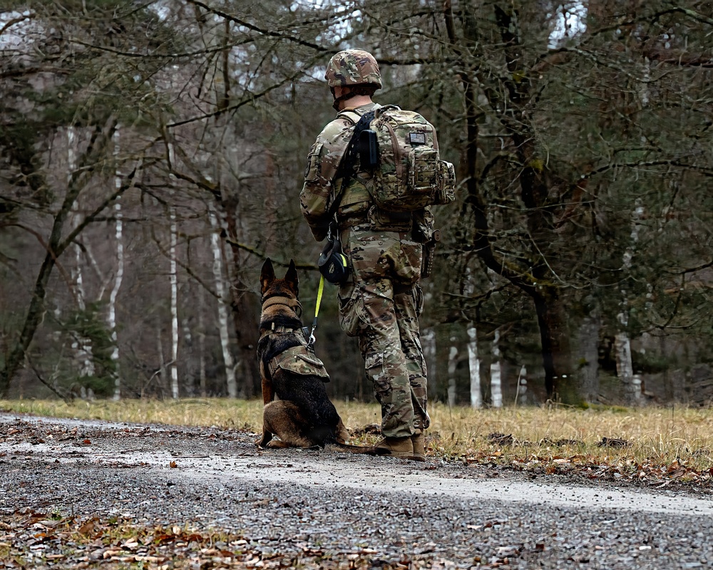 K-9 Explosives Detection Training