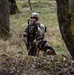 K-9 Explosives Detection Training