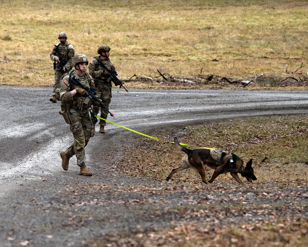 K-9 Explosives Detection Training