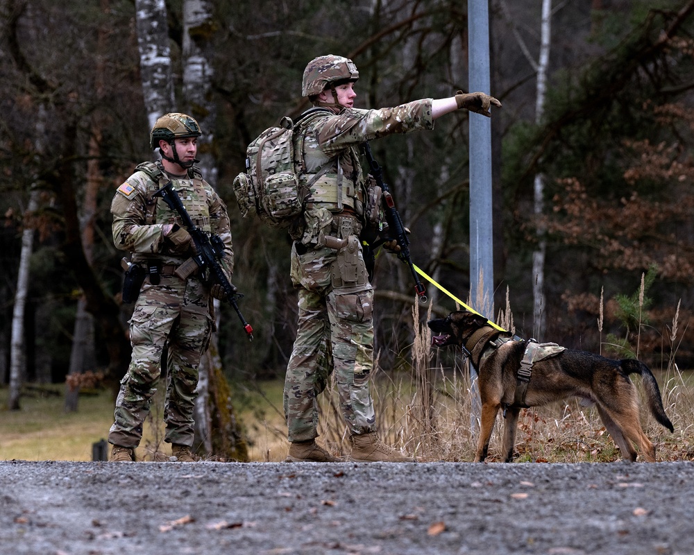 K-9 Explosives Detection Training