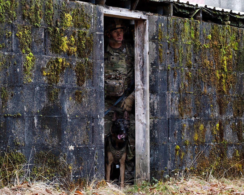 K-9 Explosives Detection Training