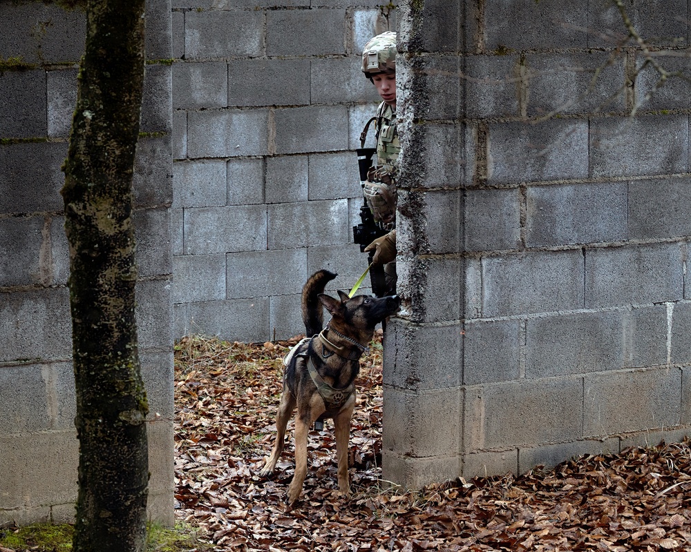 K-9 Explosives Detection Training