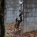 K-9 Explosives Detection Training