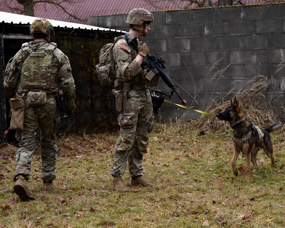 K-9 Explosives Detection Training