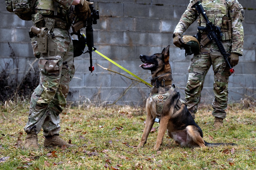 K-9 Explosives Detection Training