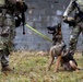 K-9 Explosives Detection Training