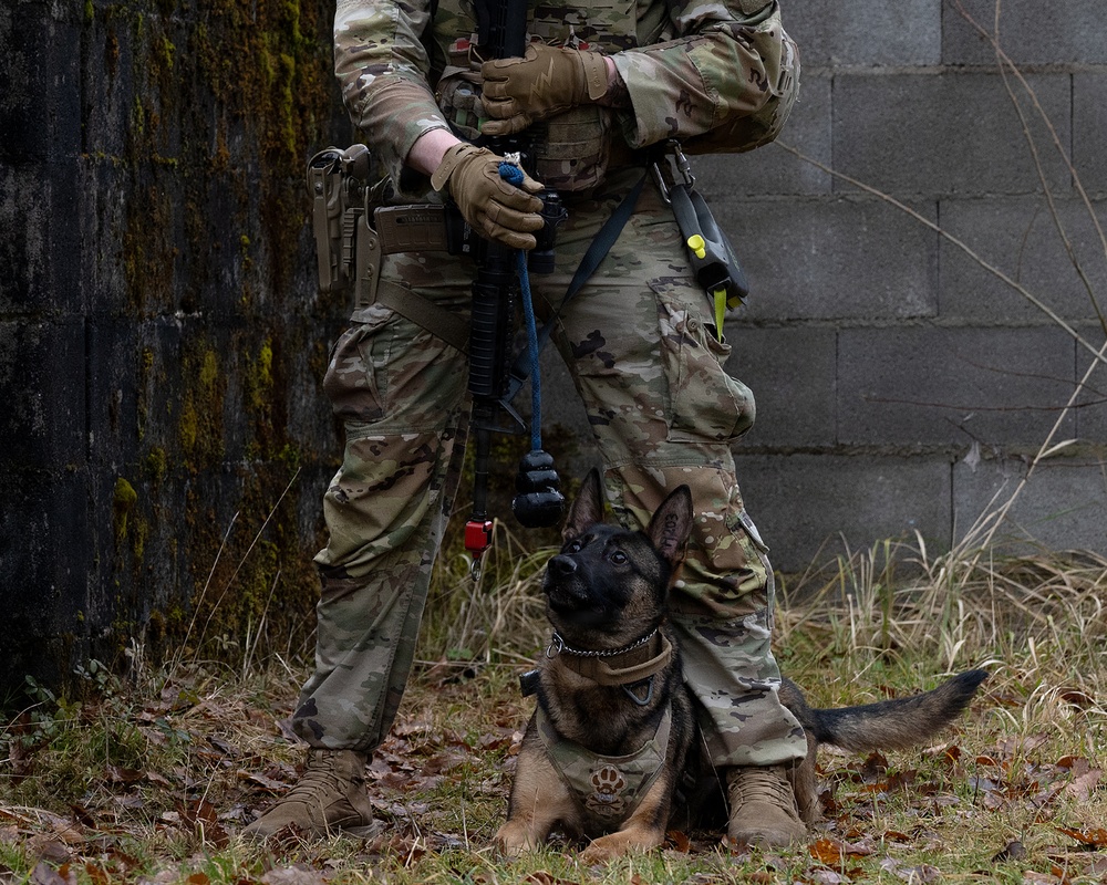 K-9 Explosives Detection Training