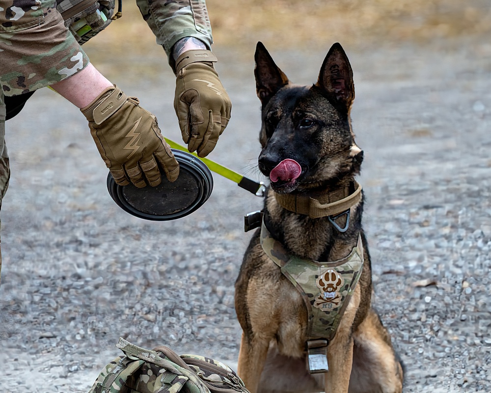 K-9 Explosives Detection Training