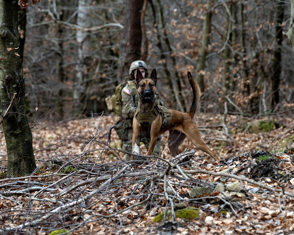 K-9 Explosives Detection Training