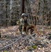 K-9 Explosives Detection Training