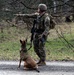 K-9 Explosives Detection Training