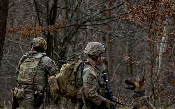 K-9 Explosives Detection Training