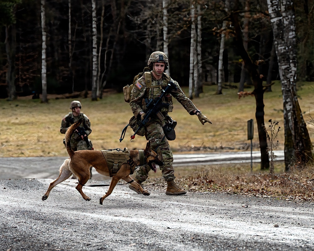 K-9 Explosives Detection Training