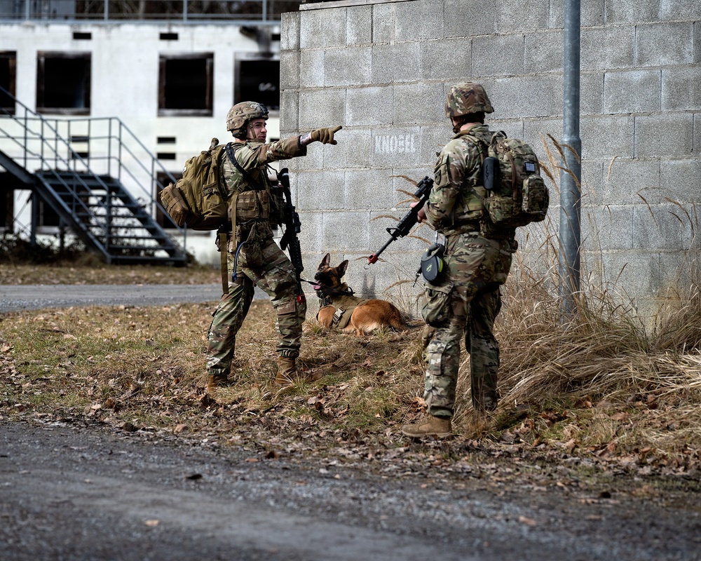 K-9 Explosives Detection Training