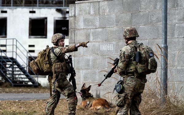 K-9 Explosives Detection Training
