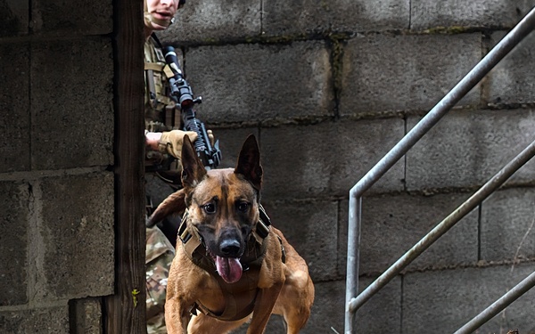K-9 Explosives Detection Training