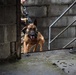 K-9 Explosives Detection Training