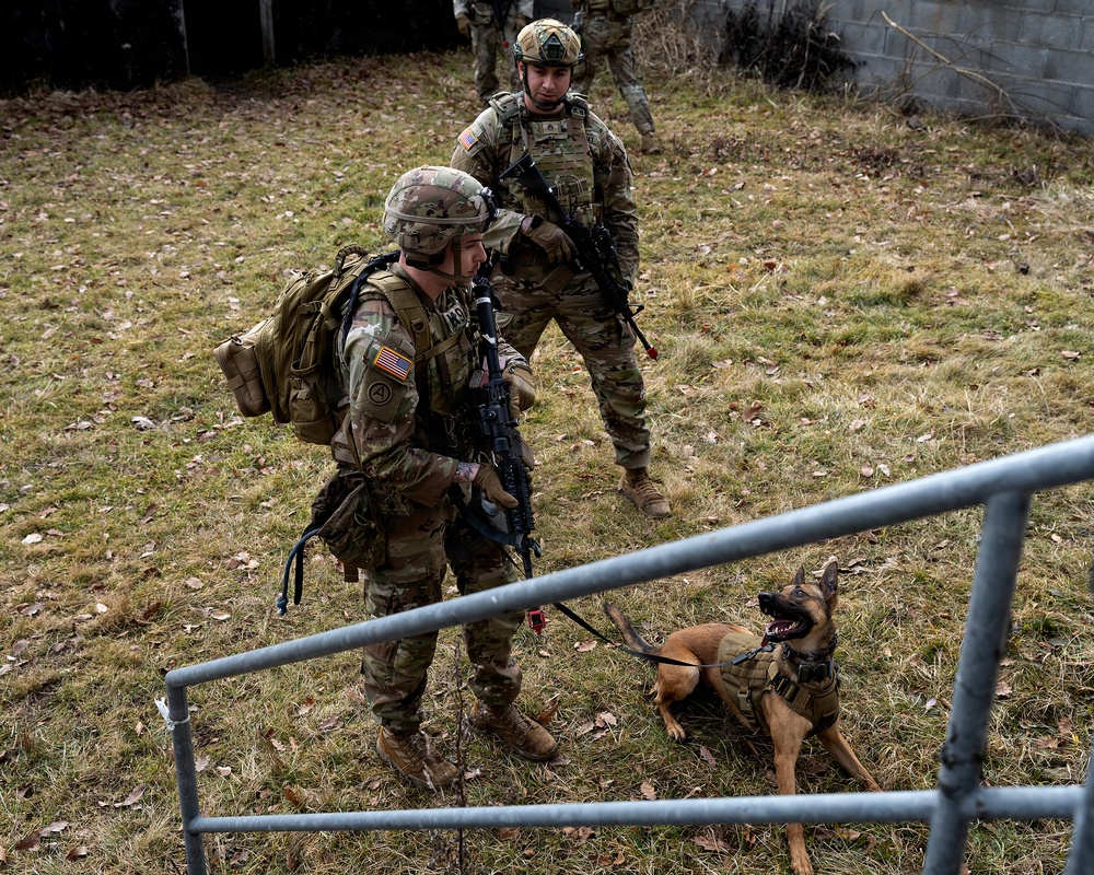 K-9 Explosives Detection Training