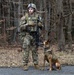 K-9 Explosives Detection Training