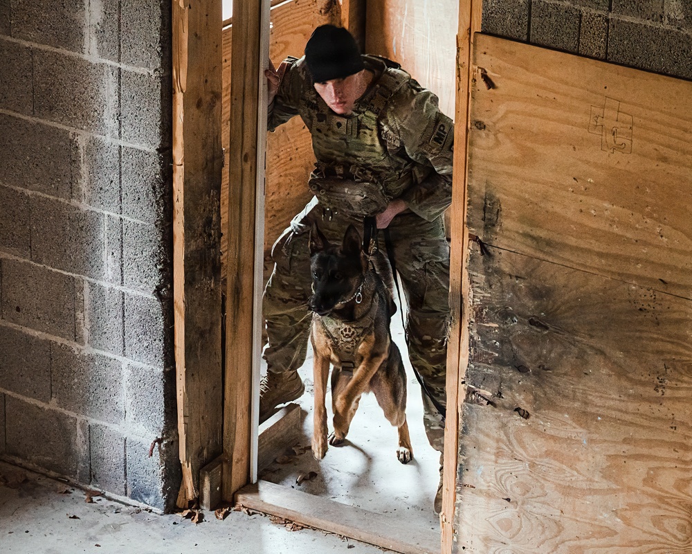 K-9 Explosives Detection Training