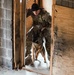 K-9 Explosives Detection Training