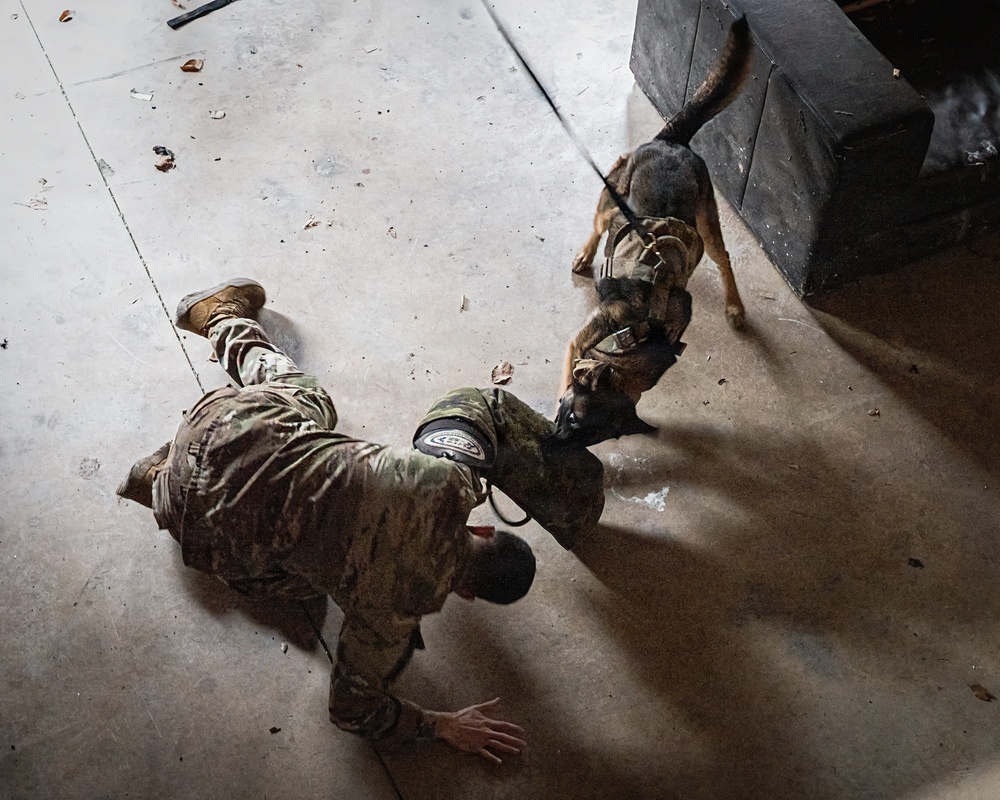 K-9 Explosives Detection Training