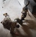 K-9 Explosives Detection Training