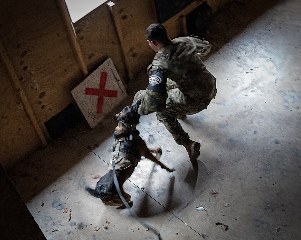K-9 Explosives Detection Training