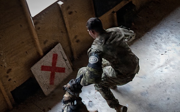 K-9 Explosives Detection Training