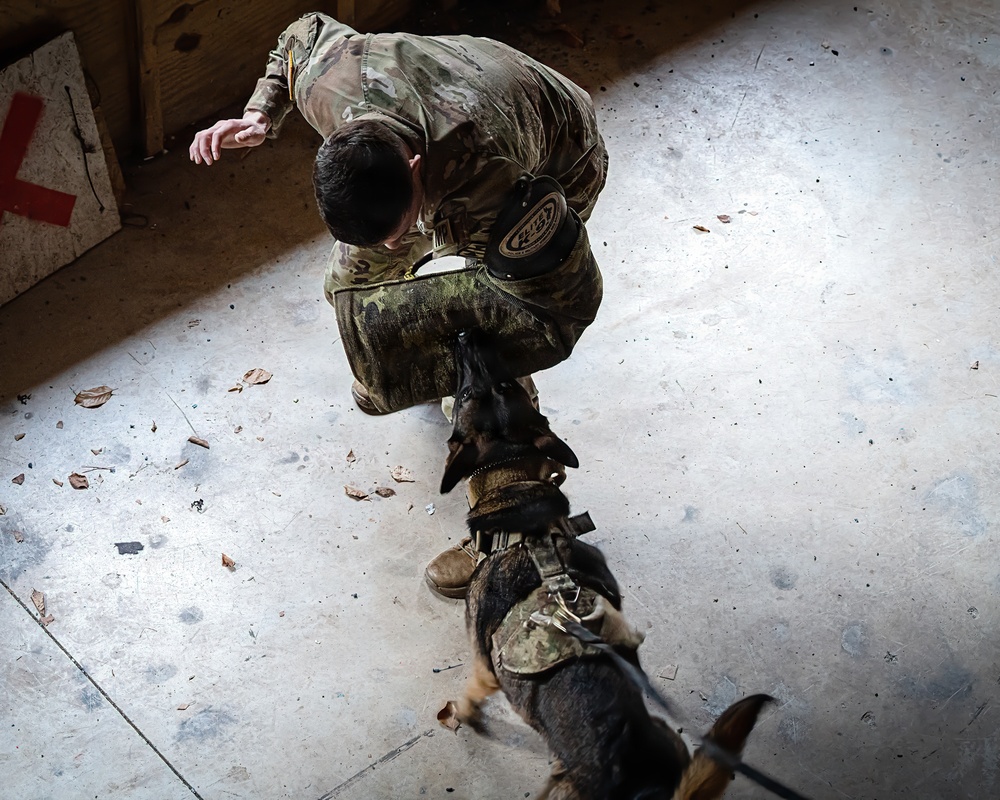 K-9 Explosives Detection Training