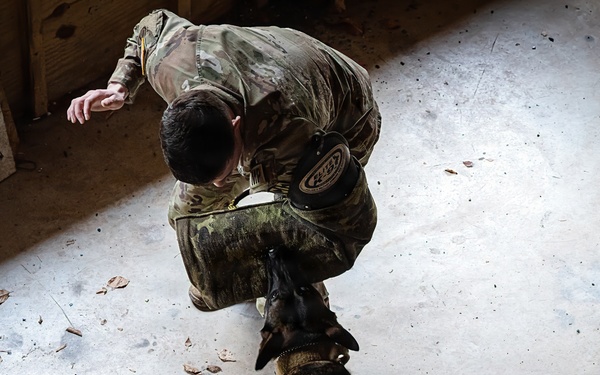 K-9 Explosives Detection Training