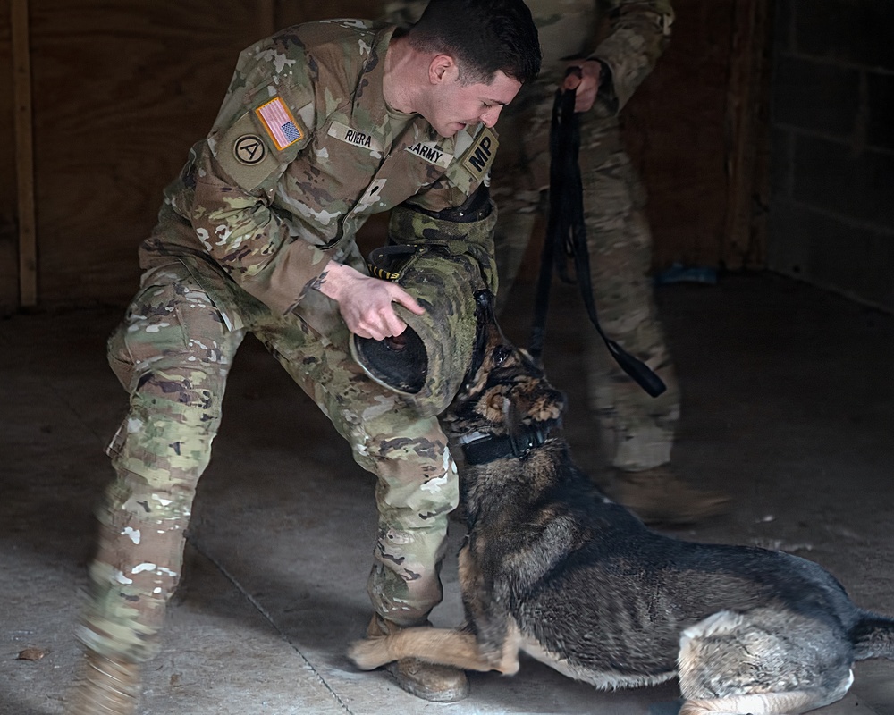 K-9 Explosives Detection Training