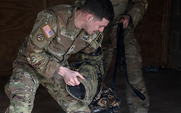 K-9 Explosives Detection Training