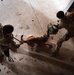 K-9 Explosives Detection Training