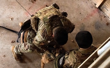 K-9 Explosives Detection Training