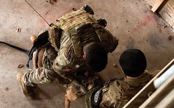 K-9 Explosives Detection Training