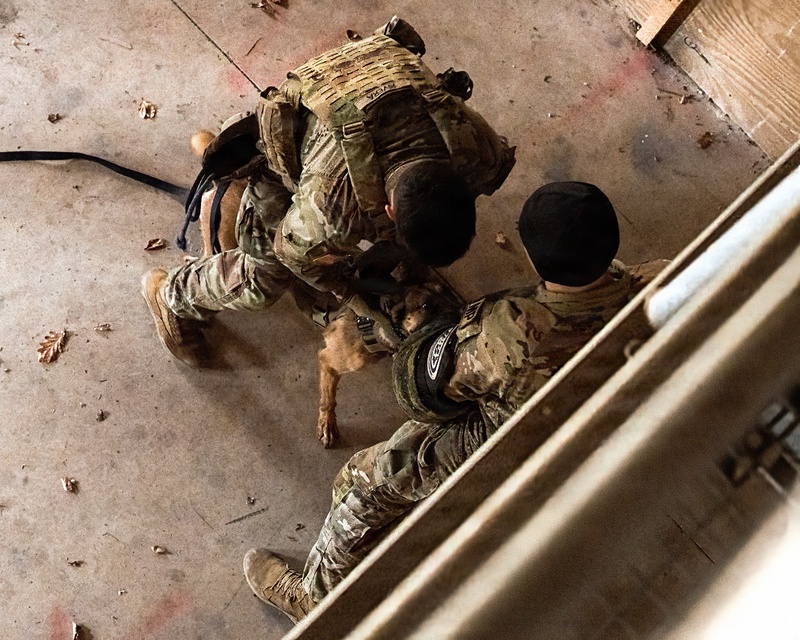 K-9 Explosives Detection Training