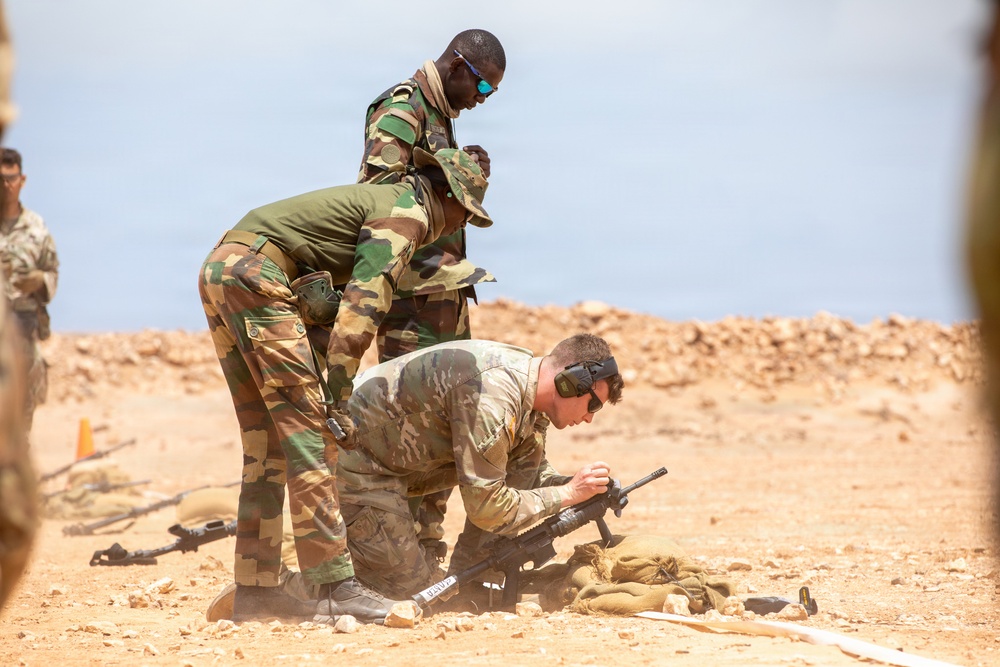 African Lion 26 combined arms live-fire exercise builds lethality, combat readiness