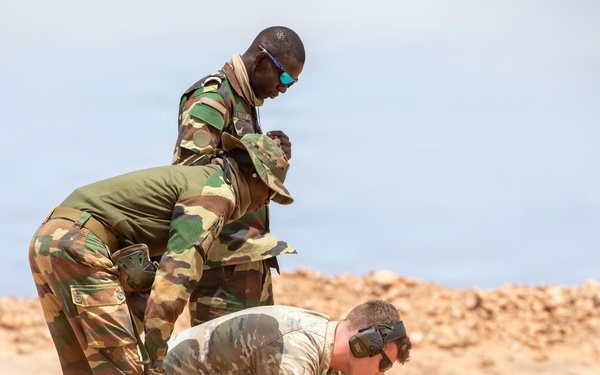 African Lion 26 combined arms live-fire exercise builds lethality, combat readiness