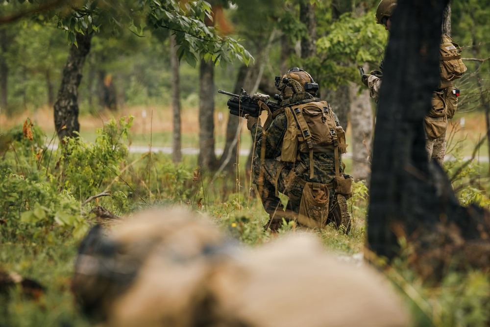 2026 Marine Corps Annual Rifle Squad Competition Day Ambush