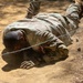 2026 Regional III Best Warrior Competition