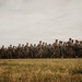 2BCT Change of Command Ceremony