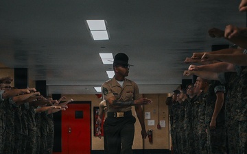 Alpha Company Pick Up