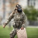 2026 Sandhurst International Military Skills Competition