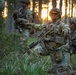Integration Meets Innovation: U.S., U.K. forces prove lethality against aerial threats at Project Flytrap