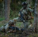 Integration Meets Innovation: U.S., U.K. forces prove lethality against aerial threats at Project Flytrap