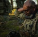Integration Meets Innovation: U.S., U.K. forces prove lethality against aerial threats at Project Flytrap