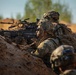 Integration Meets Innovation: U.S., U.K. forces prove lethality against aerial threats at Project Flytrap