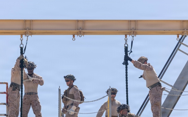 2nd Bn., 5th Marines conduct fast rope training