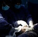 US, Ghana deliver newborn during AL26